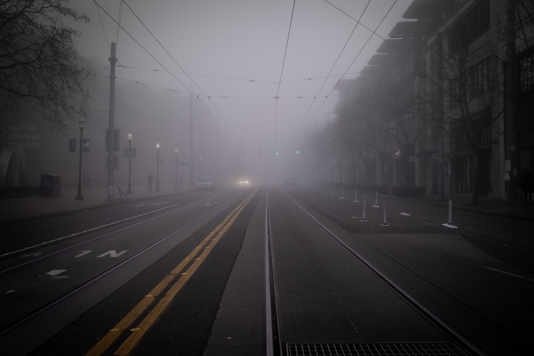 Spotted a few shadowy figures moving through the fog