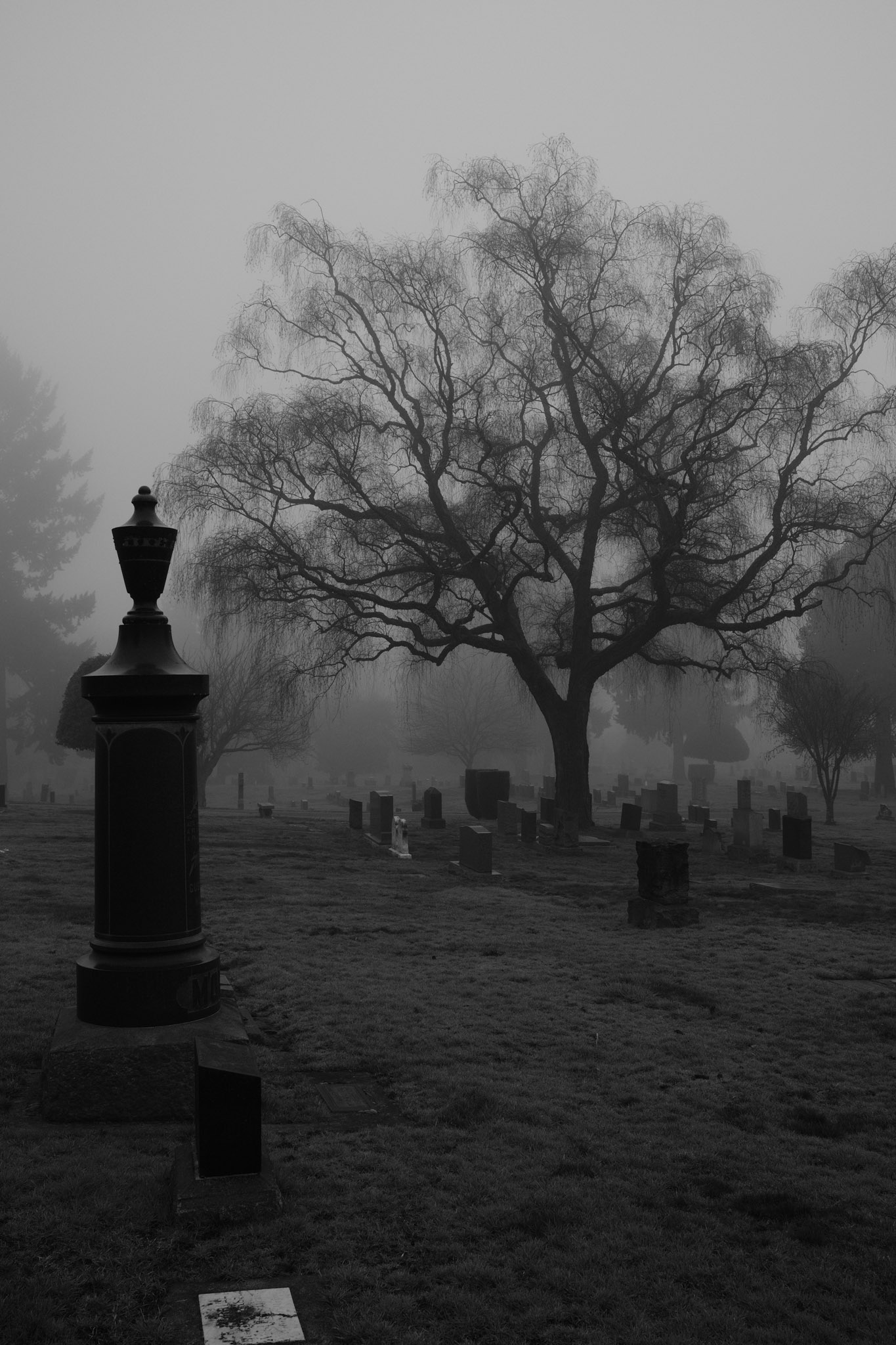 Grave marker with cemetery in the background